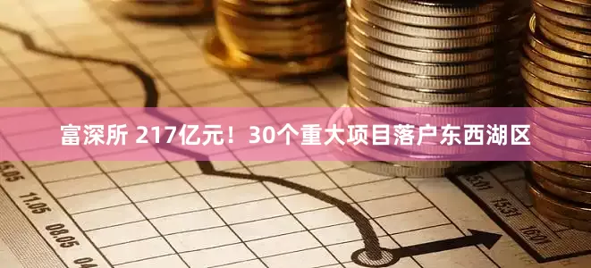 富深所 217亿元！30个重大项目落户东西湖区